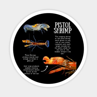 Animal Facts - Pistol Shrimp Magnet